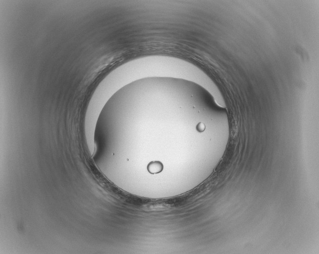 X0000115260452200911271929