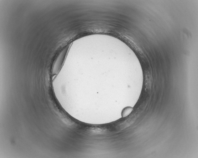 X0000115260453200911271929