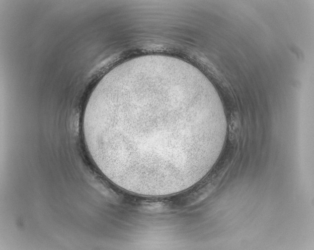 X0000115260454200911271929