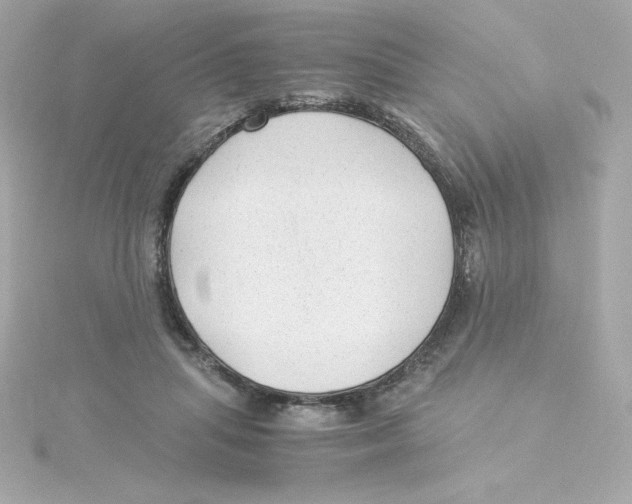 X0000115260455200911271929