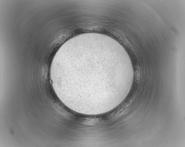 X0000115260458200911271929