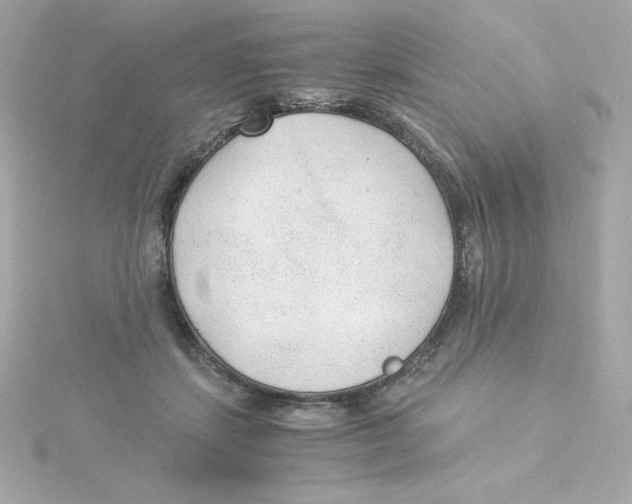 X0000115260459200911271929