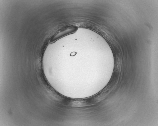 X0000115260461200911271929