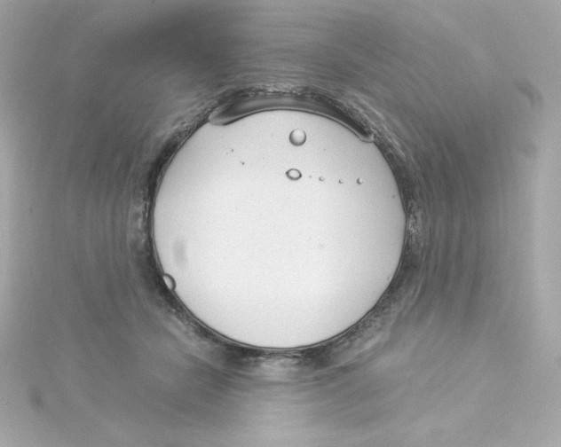 X0000115260462200911271929