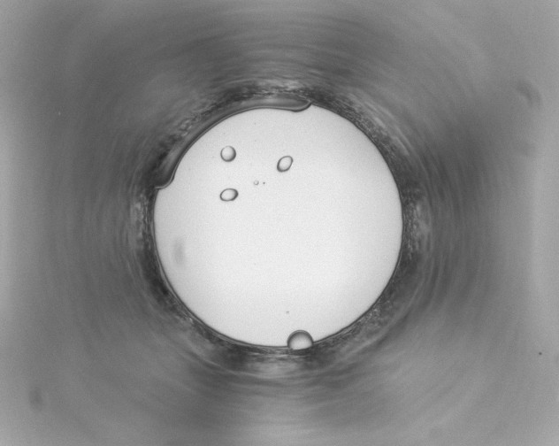 X0000115260463200911271929