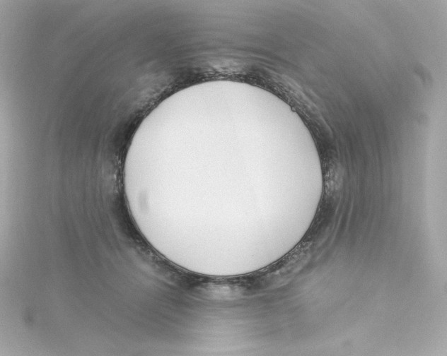 X0000115260464200911271929