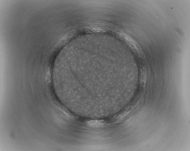 X0000115260465200911271929