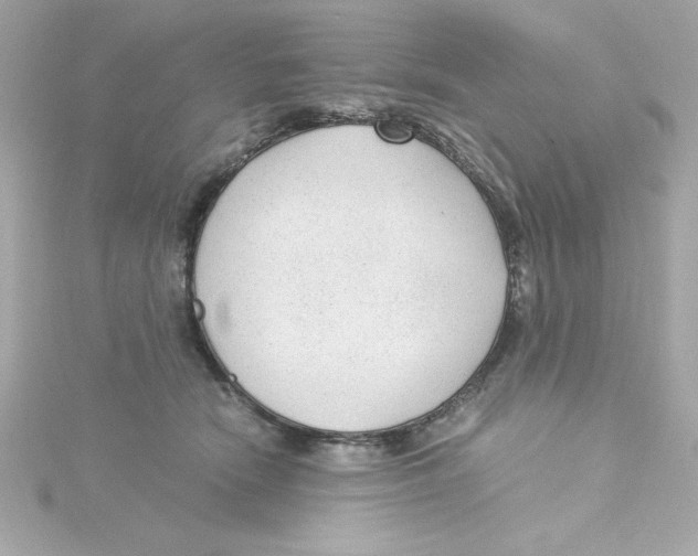 X0000115260466200911271929