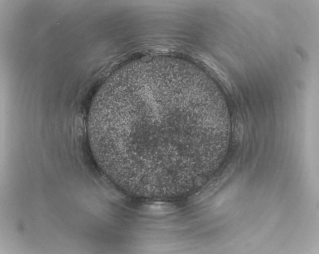 X0000115260467200911271929