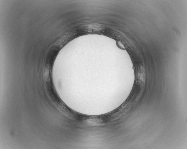 X0000115260468200911271929