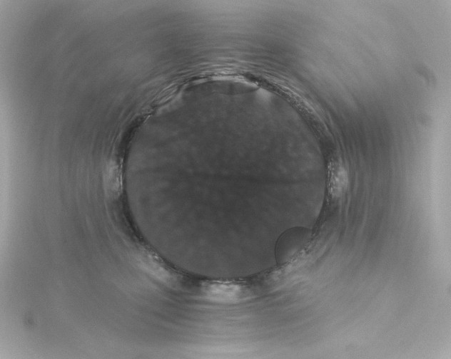 X0000115260471200911271929