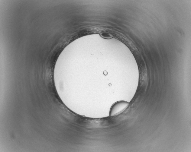 X0000115260473200911271929