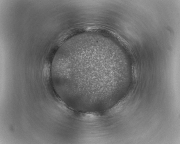 X0000115260475200911271929