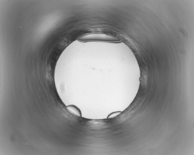 X0000115260477200911271929