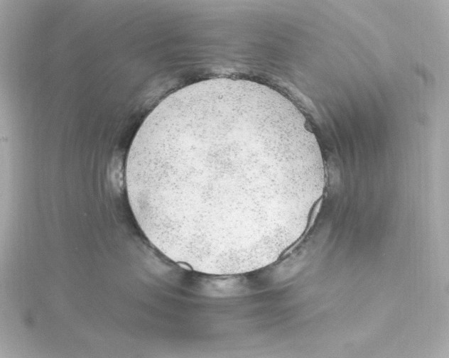 X0000115260479200911271929