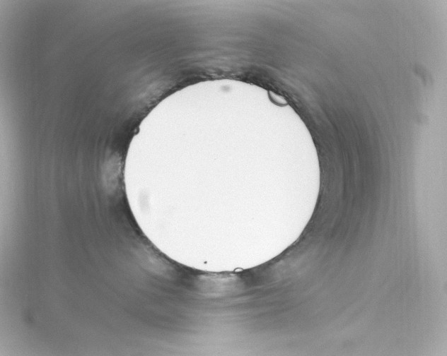 X0000115260480200911271929