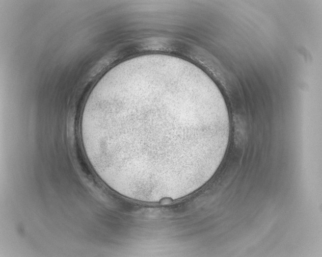 X0000115260482200911271929