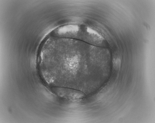 X0000115260484200911271928