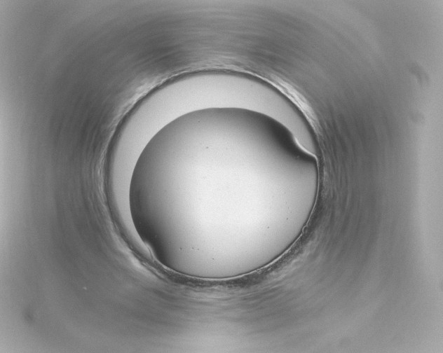 X0000115260485200911271928