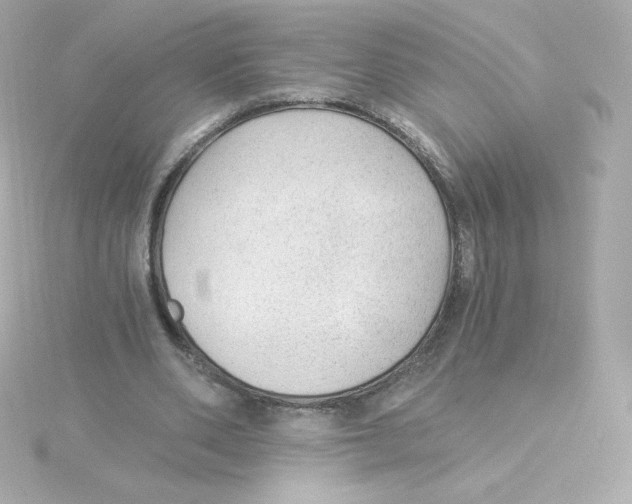 X0000115260486200911271928