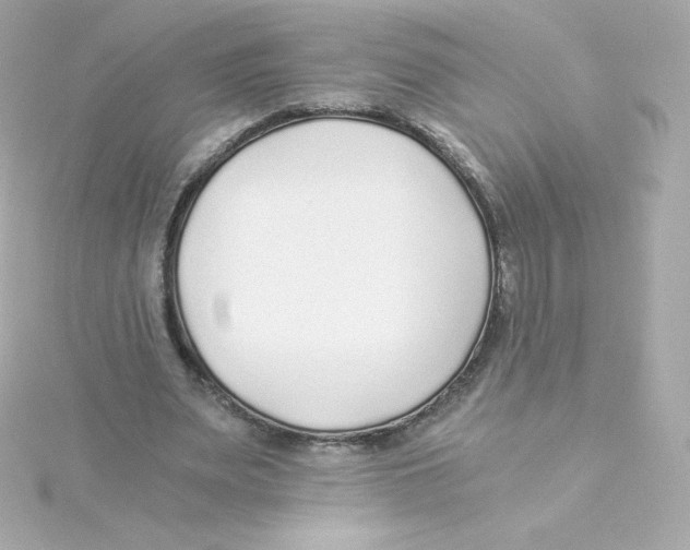 X0000115260487200911271928