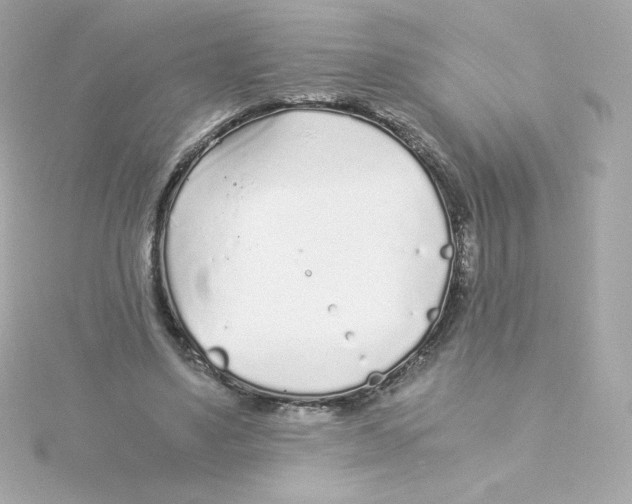 X0000115260491200911271928