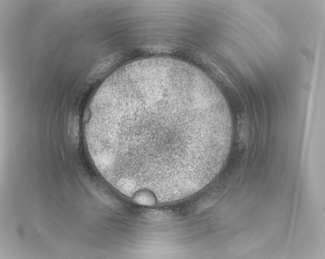 X0000115260494200911271928