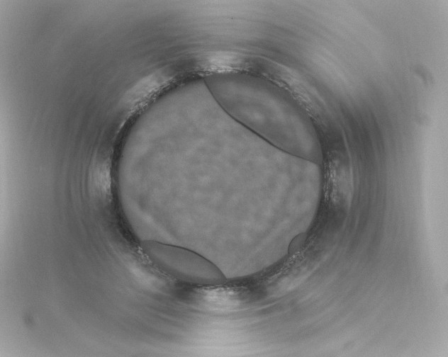 X0000115260500200911271928