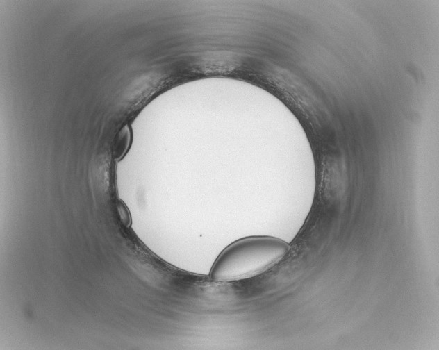 X0000115260501200911271928