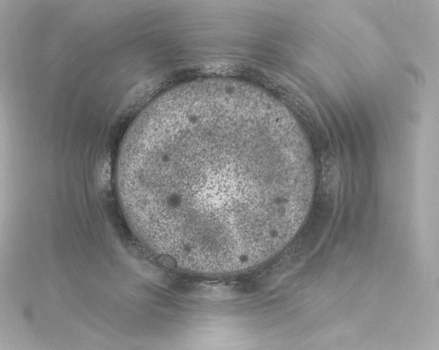 X0000115260502200911271928