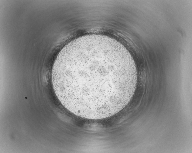 X0000115260503200911271928