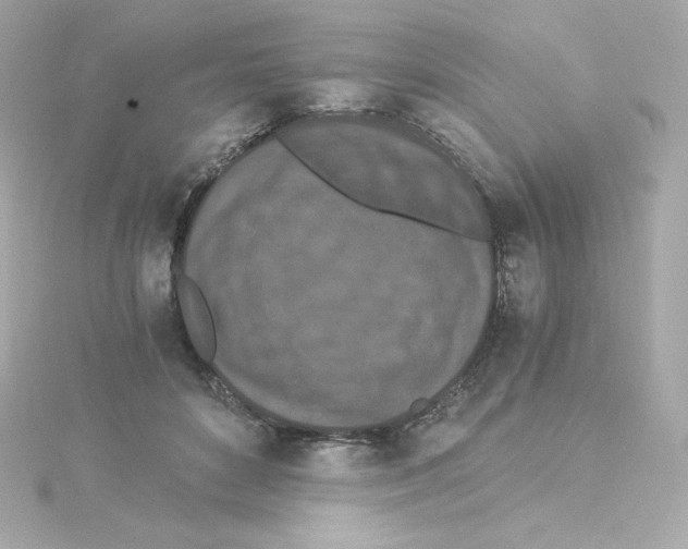 X0000115260504200911271928