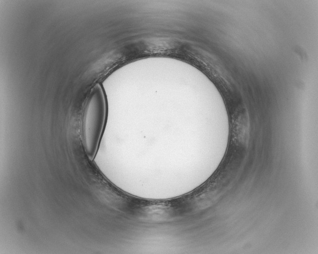 X0000115260505200911271928