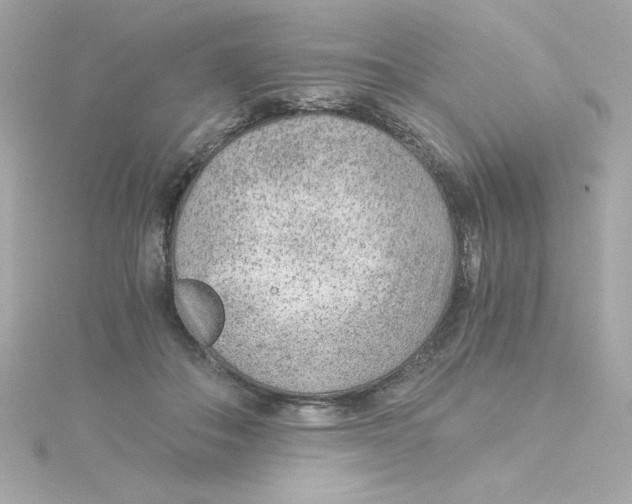 X0000115260506200911271928