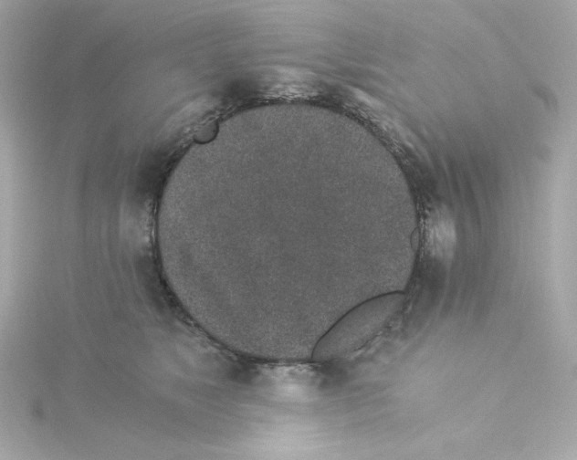 X0000115260517200911271928