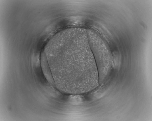 X0000115260520200911271928