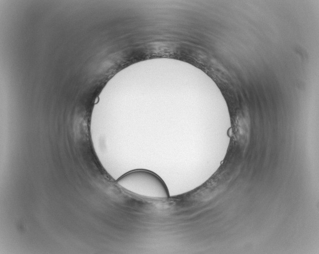 X0000115260522200911271928