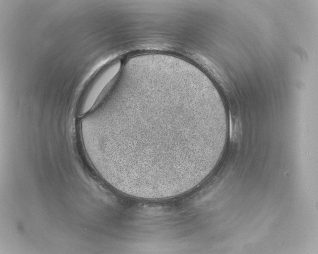 X0000115260531200911271927