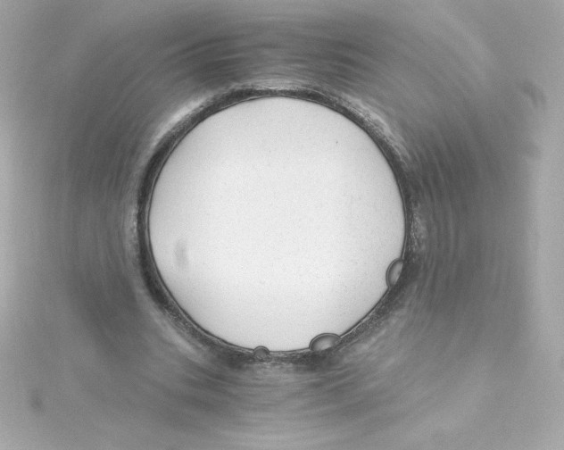 X0000115260535200911271927