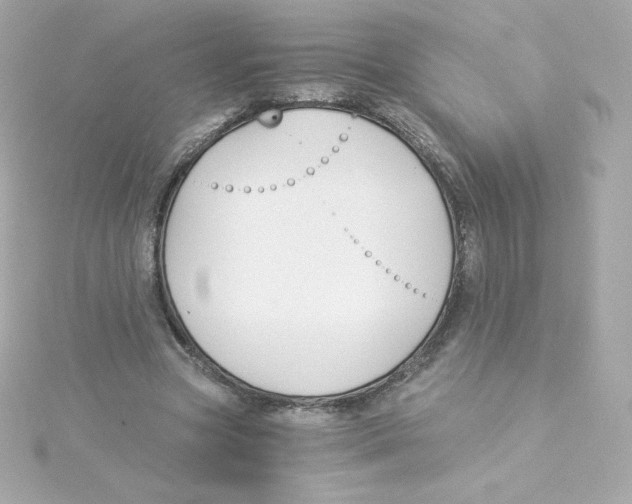 X0000115260537200911271927