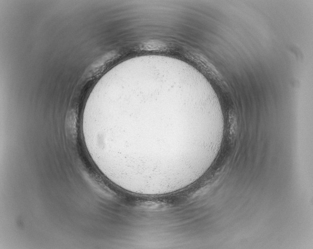 X0000115260542200911271927