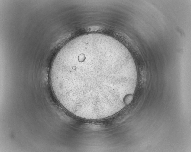 X0000115260545200911271928