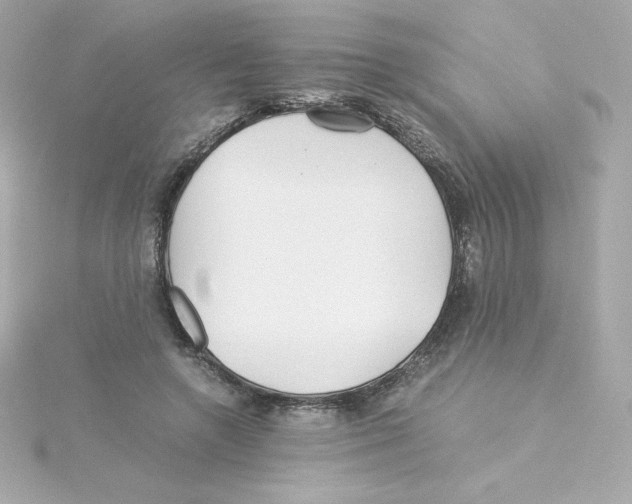 X0000115260546200911271928