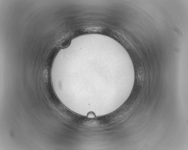 X0000115260551200911271928