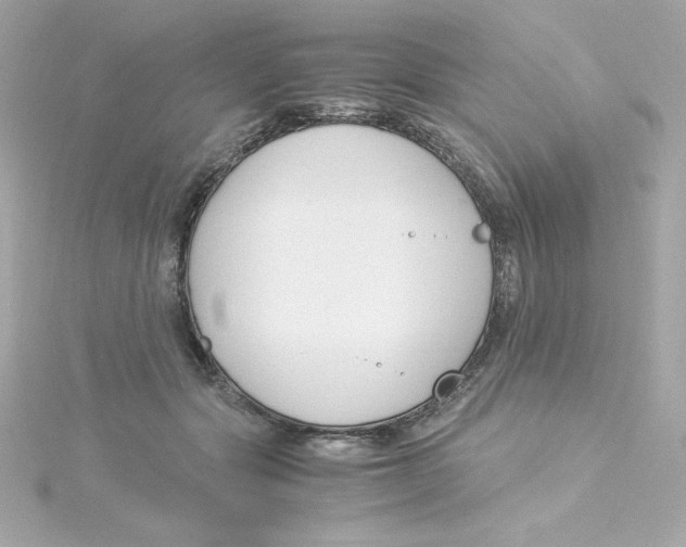 X0000115260557200911271928