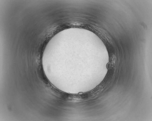 X0000115260559200911271928