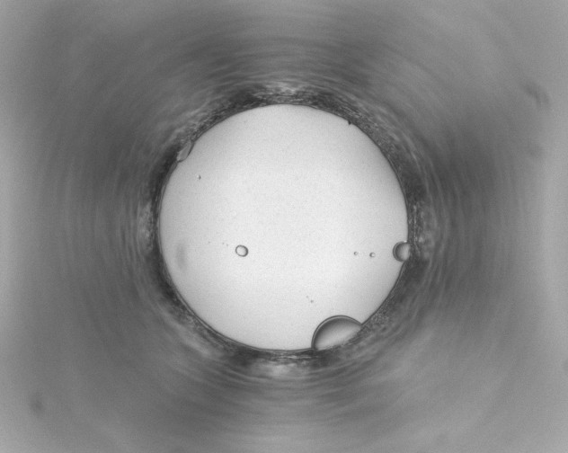 X0000115260563200911271928