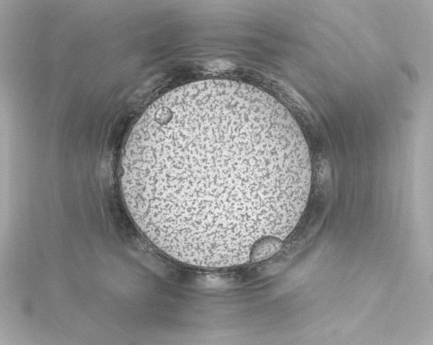 X0000115260565200911271928