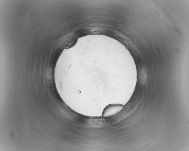 X0000115260571200911271928