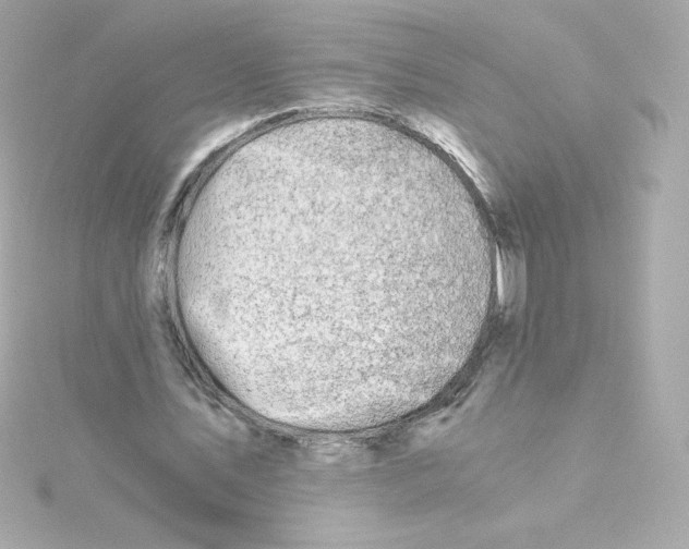 X0000115260579200911271927